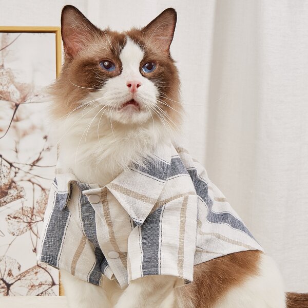 

Striped Pattern Pet Shirt, Multicolor