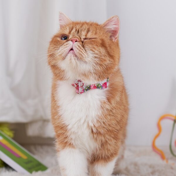 

Flower Print Bow Pet Collar, Pink