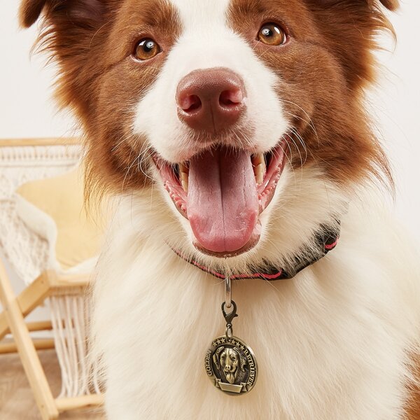 

1pc Vintage Dog ID Tag, Bronze