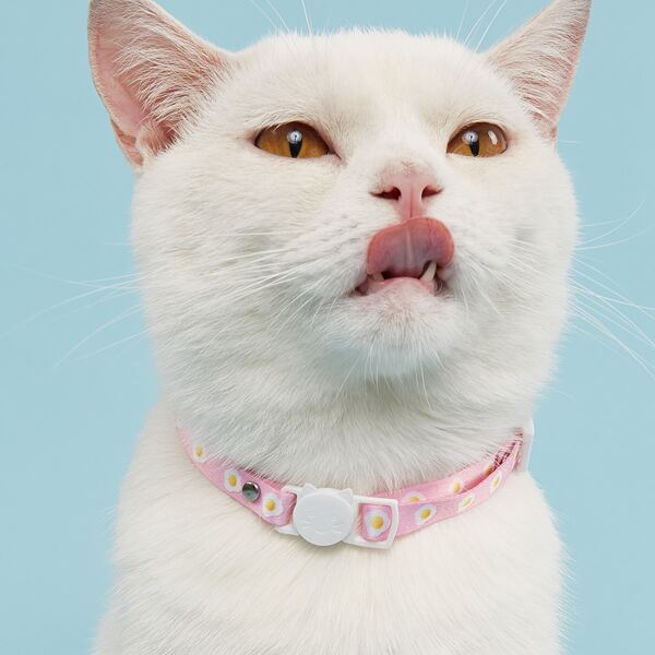 

1pc Egg Print Pet Collar, Pink