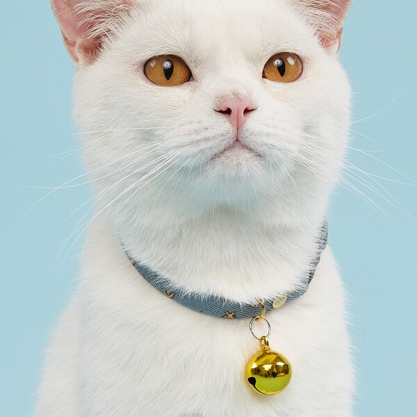 

Bell Pendant Pet Necklaces, Multicolor