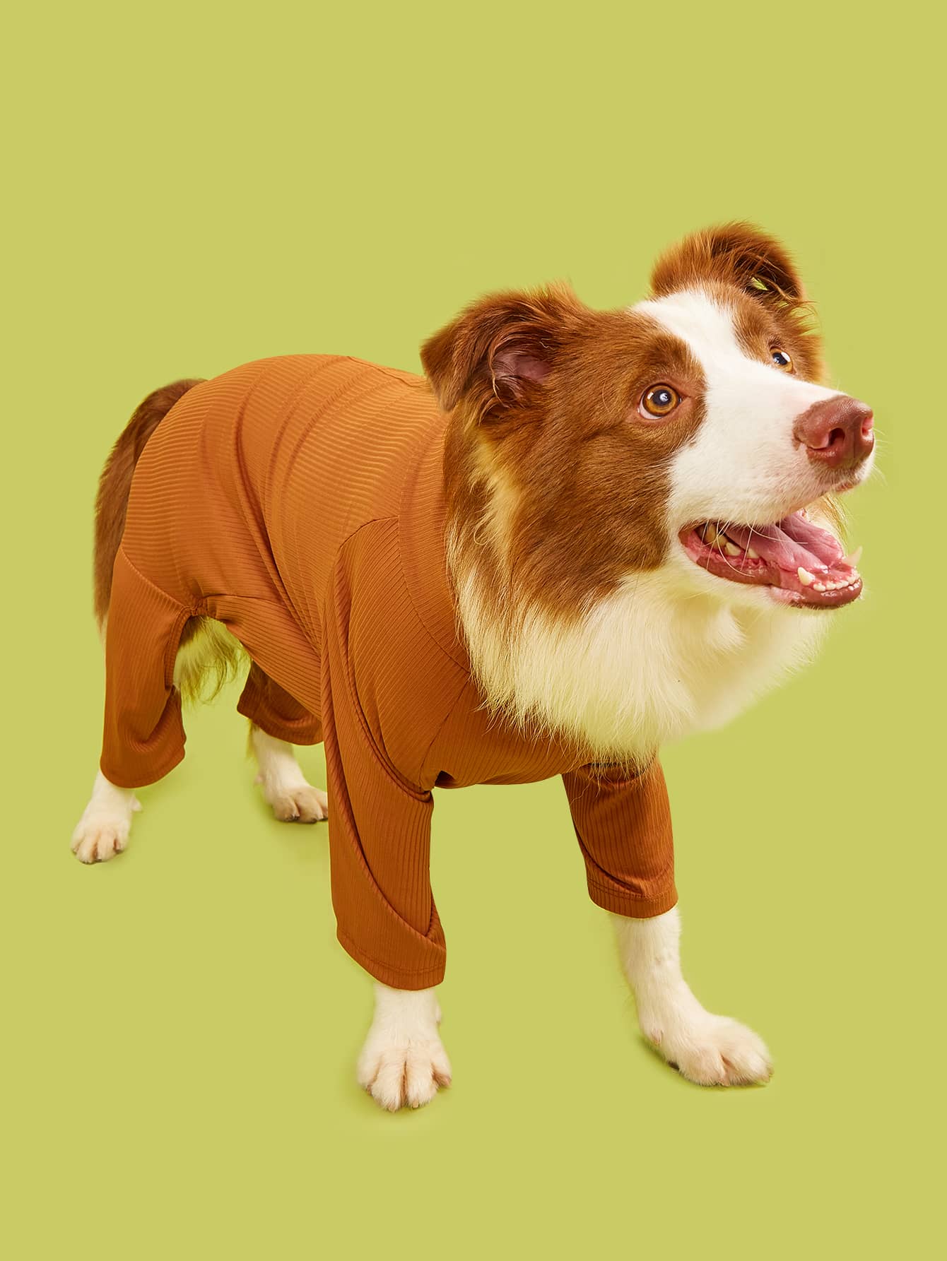 Pijamas para Mascotas - Marrón - Ver 1