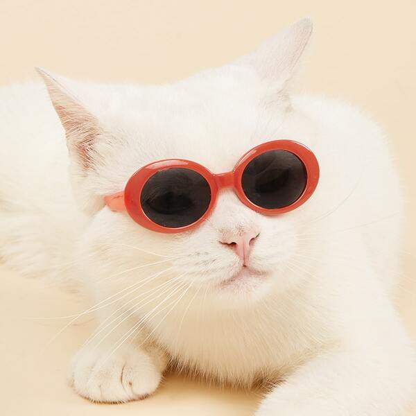 

1pair Round Lens Pet Sunglasses, Red