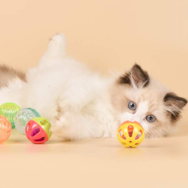 

6pcs Random Color Pet Chasing Bell Ball, Multicolor