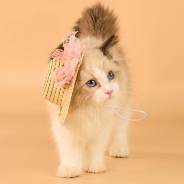 

Lace Bow Decor Pet Straw Hat, Khaki