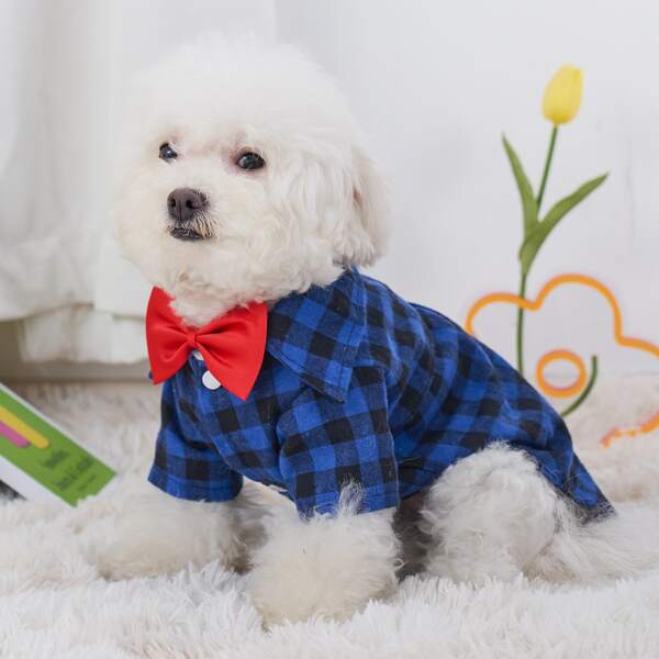 

Gingham Pattern Pet Shirt, Blue