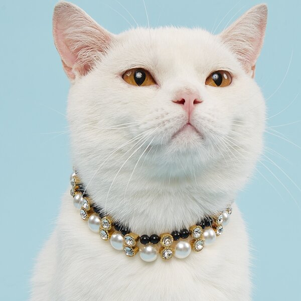 

Faux Pearl Decor Pet Necklace, Multicolor