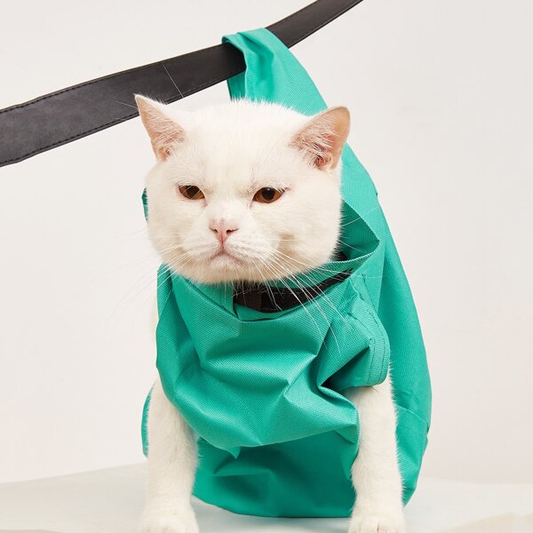

1pc Portable Pet Carrier Bag, Green