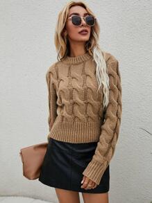 SHEIN LUNE Solid Cable Knit Jumper - Brown - View 5
