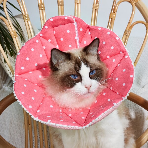 

1pc Polka Dot Pattern Pet Recovery Collar, Pink