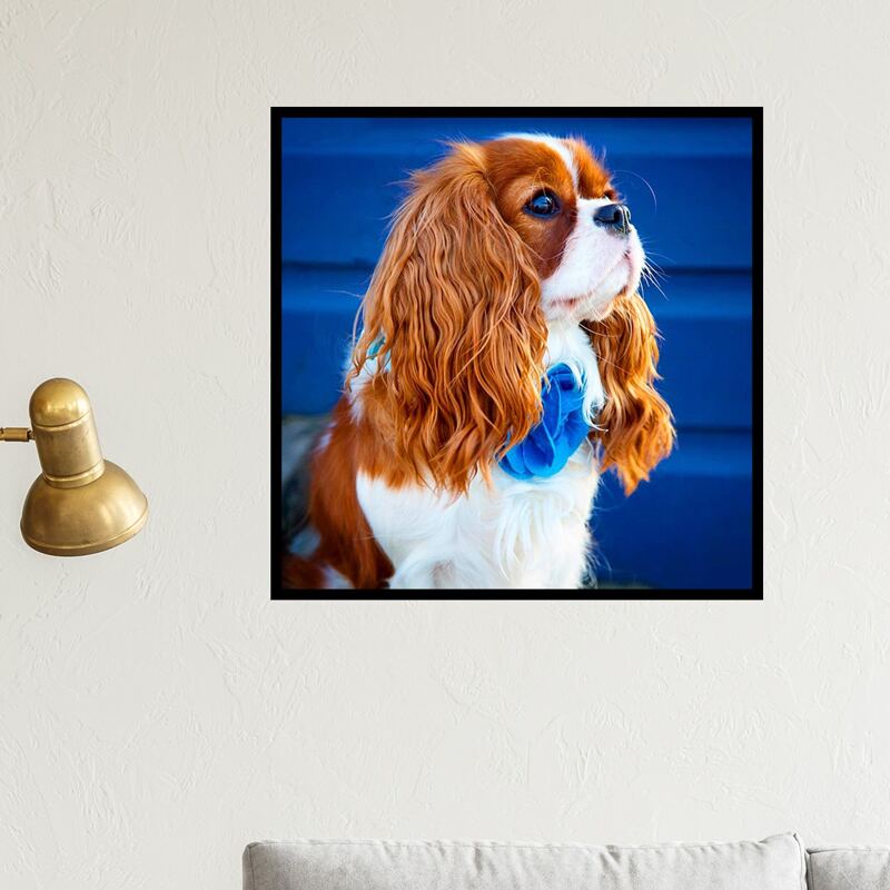 

Dog Print Diamond Painting Without Frame, Multicolor