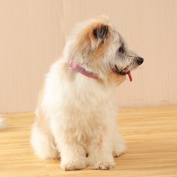 

Rhinestone Decor Pet Collar, Pink