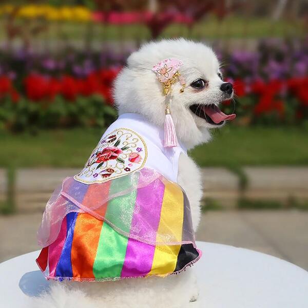

Flower Embroidery Pet Striped Dress, Multicolor