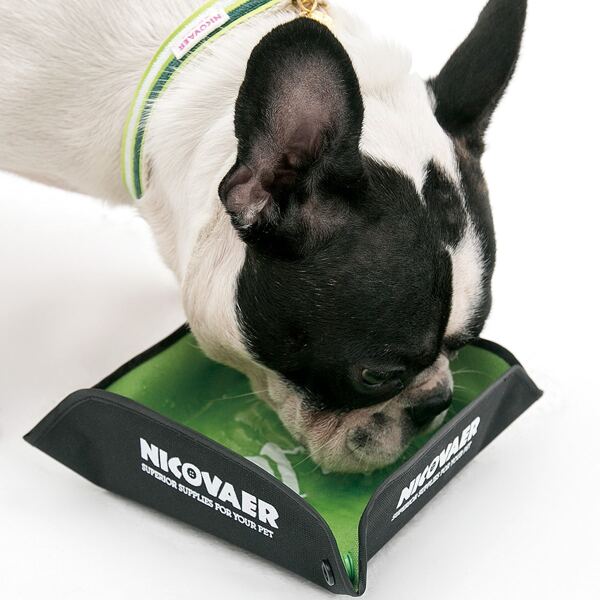 

1pc Foldable Pet Travel Water Bowl, Green