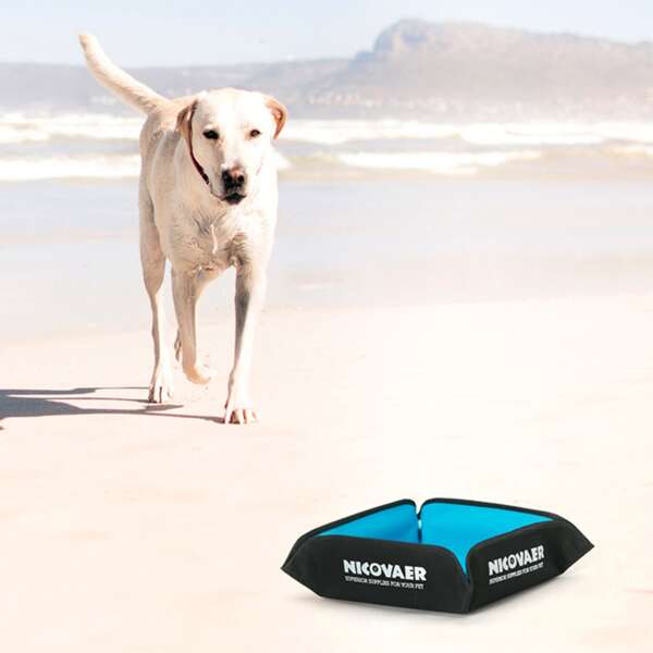 

1pc Foldable Pet Travel Water Bowl, Blue