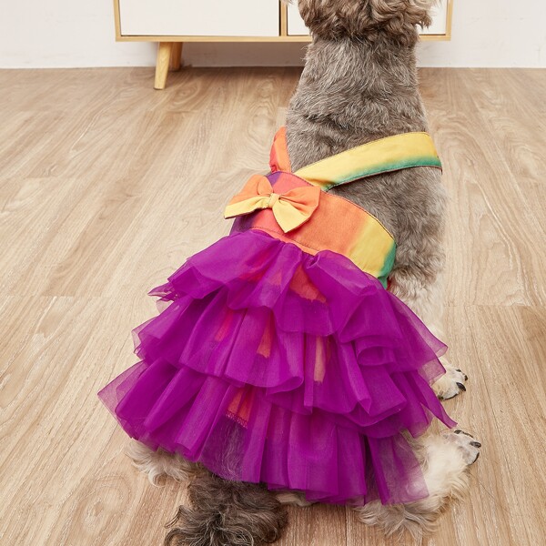 

Bow Decor Pet Dress, Multicolor