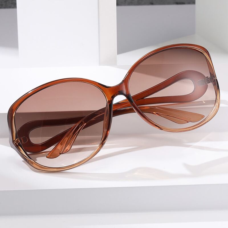 

Tinted Lens Sunglasses