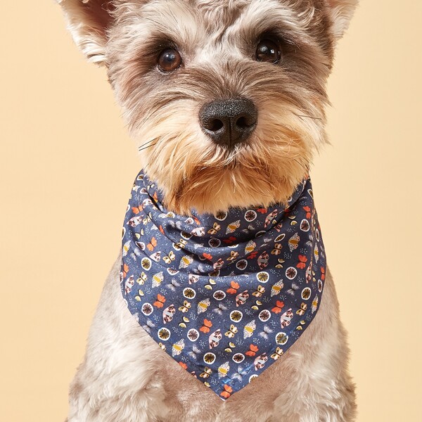 

Butterfly Print Pet Bandana, Navy blue