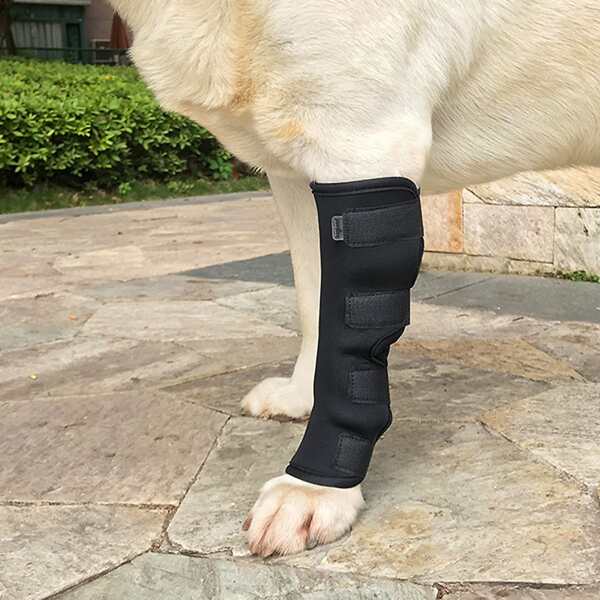 

2pcs Pet Knee Brace Strap, Black