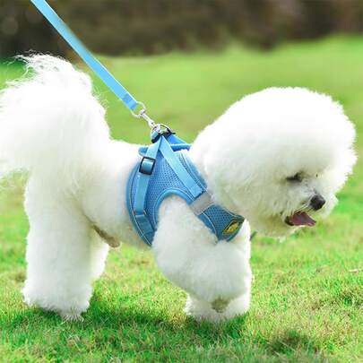 1入組反光寵物背帶和1入組牽引繩