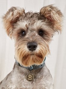 Identificador para mascotas pata con diseño - Marrón - Ver 2