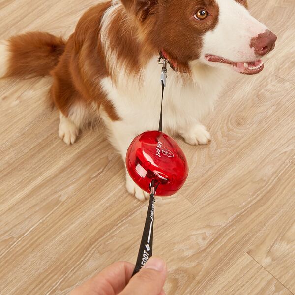 

Retractable Pet Leash, Red