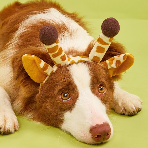 

Giraffe Design Pet Hair Hoop, Yellow