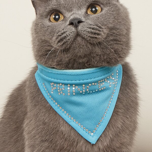 

Rhinestone Decor Pet Bandana, Blue