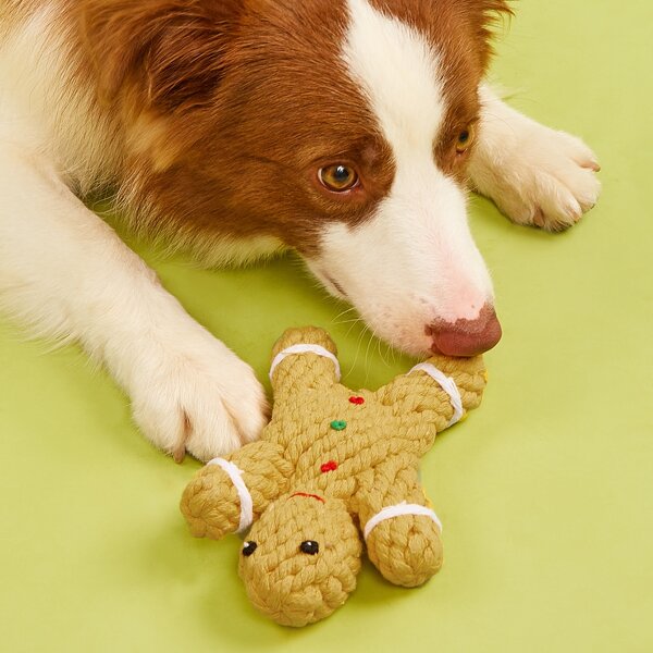 

Gingerbread Man Pet Chew Toy, Khaki