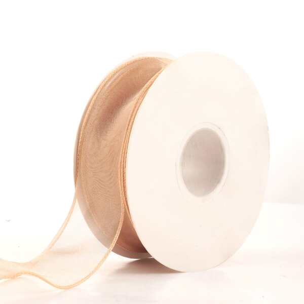 

1roll Plain Mesh Ribbon, Champagne