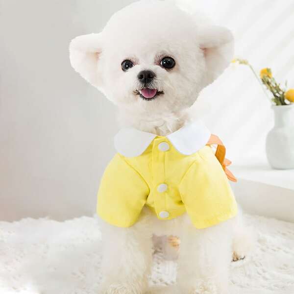 

1pc Pet Shirt With Cartoon Bear Crossbody Bag, Yellow