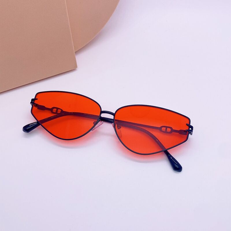 

Tinted Lens Sunglasses