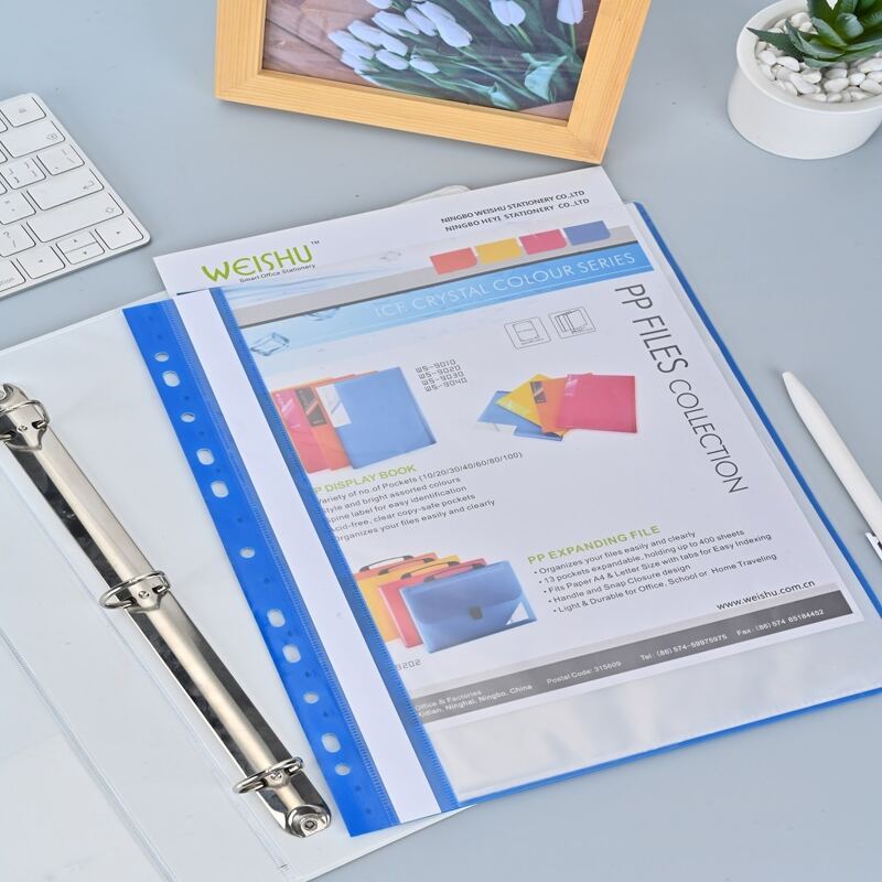 

1pc Random Clear Folder, Multicolor