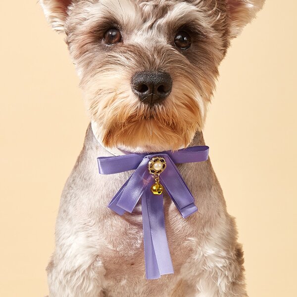 

Bow Decor Pet Collar, Purple