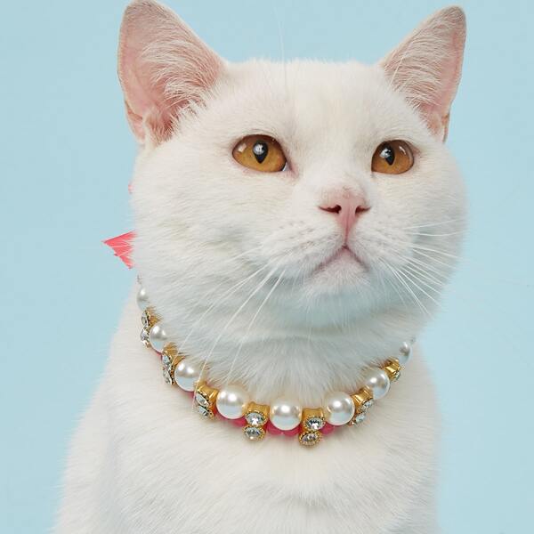 

Faux Pearl Detail Pet Necklace, Pink