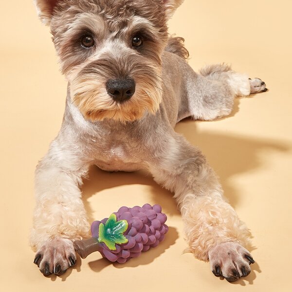 

Grape Shaped Pet Sound Toy, Purple