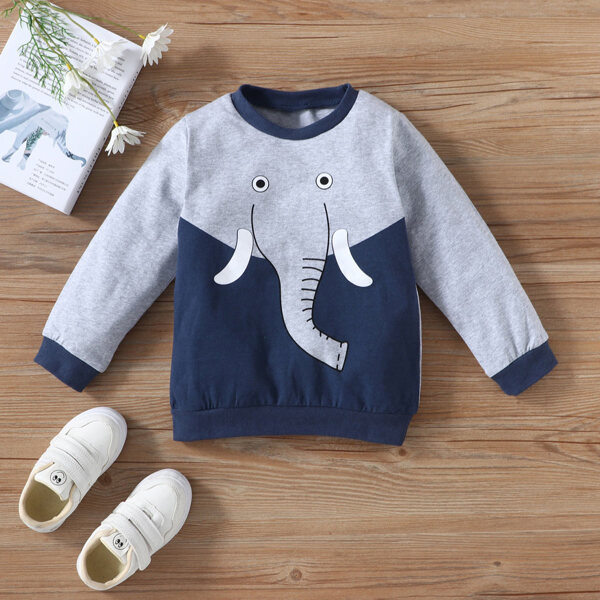 

Toddler Boys Cartoon Graphic Colorblock Sweatshirt, Multicolor