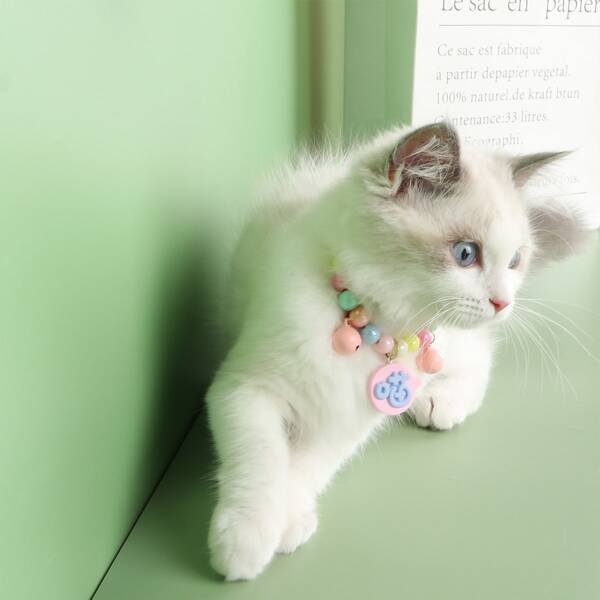 

1pc Beaded Pet Necklace, Multicolor