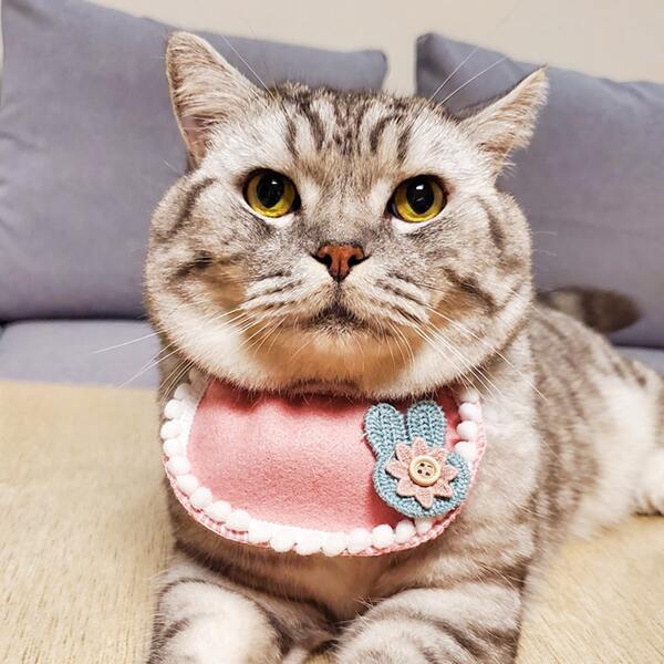 

Rabbit Design Pet Bandana, Pink