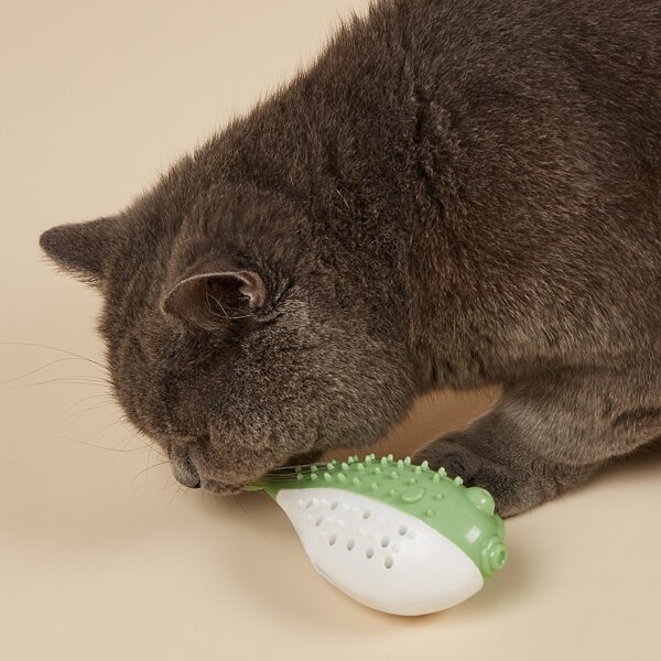 

1pc Fish Shaped Pet Chew Toy, Green