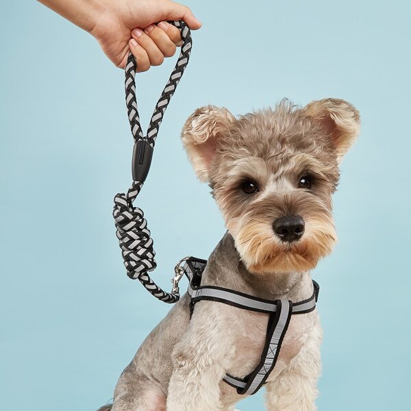 

1pc Colorblock Pet Harness & 1pc Leash, Black