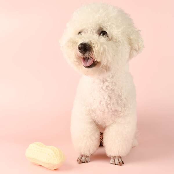 

1pc Peanut Design Pet Chew Toy, Beige