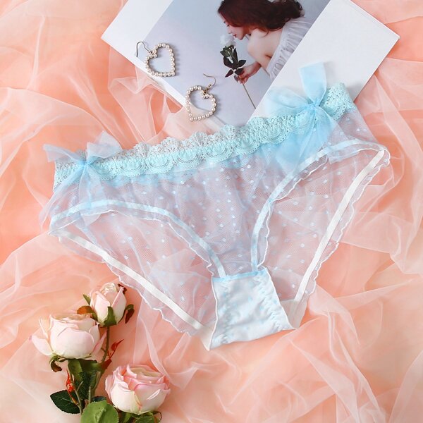 

Plus Lace Trim Dobby Mesh Panty, Baby blue