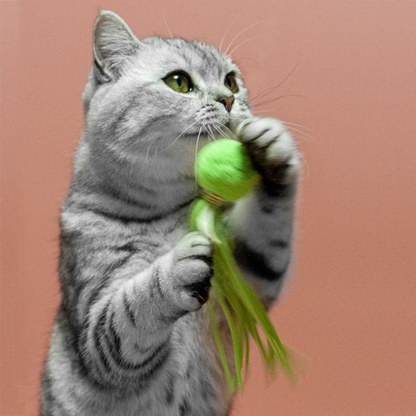 

1pc Tassel Detail Cat Teaser Ball, Green