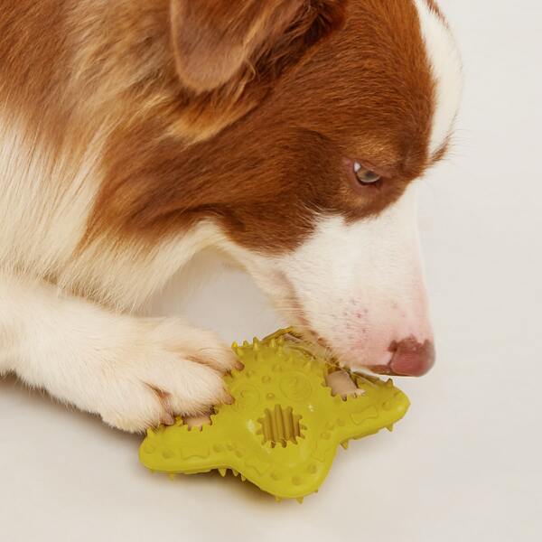 

Star Shaped Pet Chew Toy, Yellow