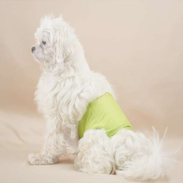

Solid Color Pet Sanitary Pant, Green