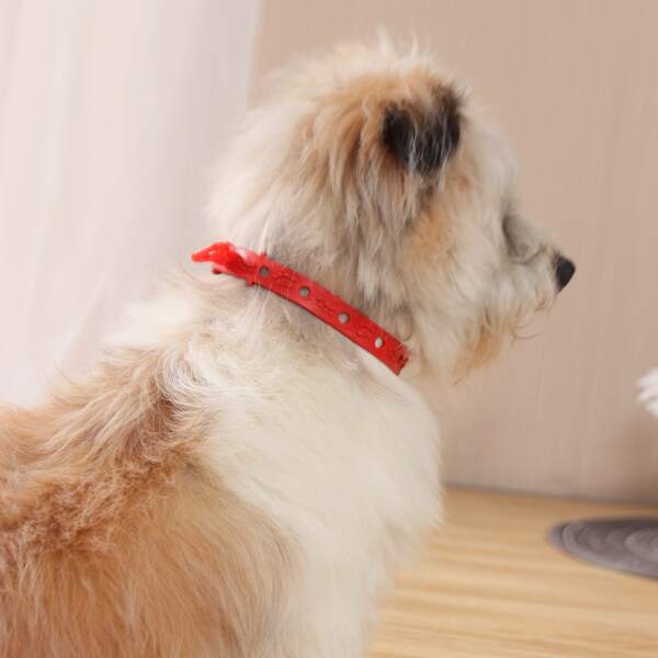 

Paw Design Pet Collar, Red