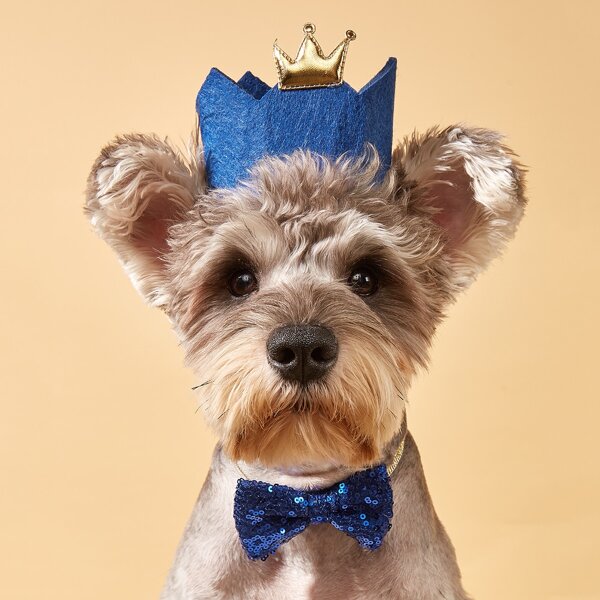 

2pcs Pet Crown Hat & Collar Set, Blue