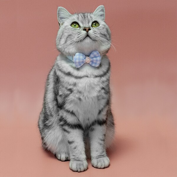 

1pc Gingham Pattern Pet Bow, Blue