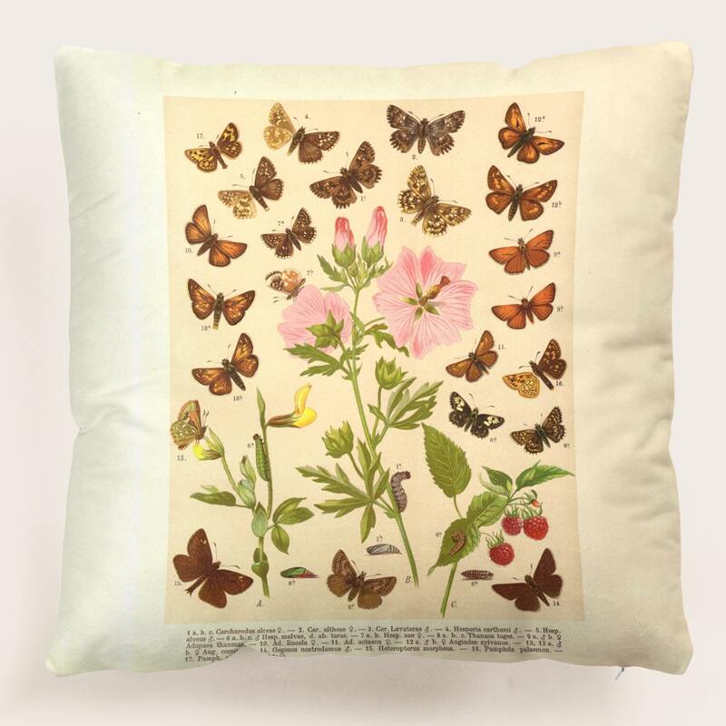 

Butterfly Print Cushion Cover Without Filler, Multicolor